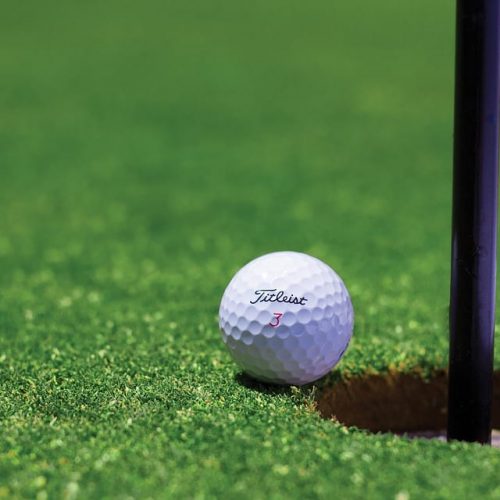 A golf ball on a golf course