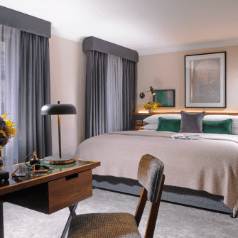 The_alex_suite