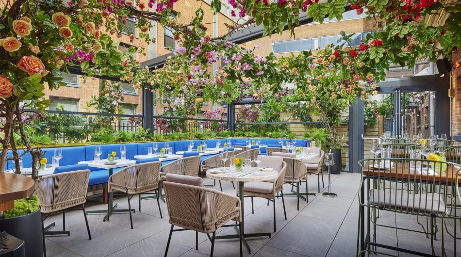 Boutique Hotel Dublin 2 Hotels Dublin City Centre The Alex Hotel Boutique Hotel Dublin 2 Hotels Dublin City Centre The Alex Hotel
