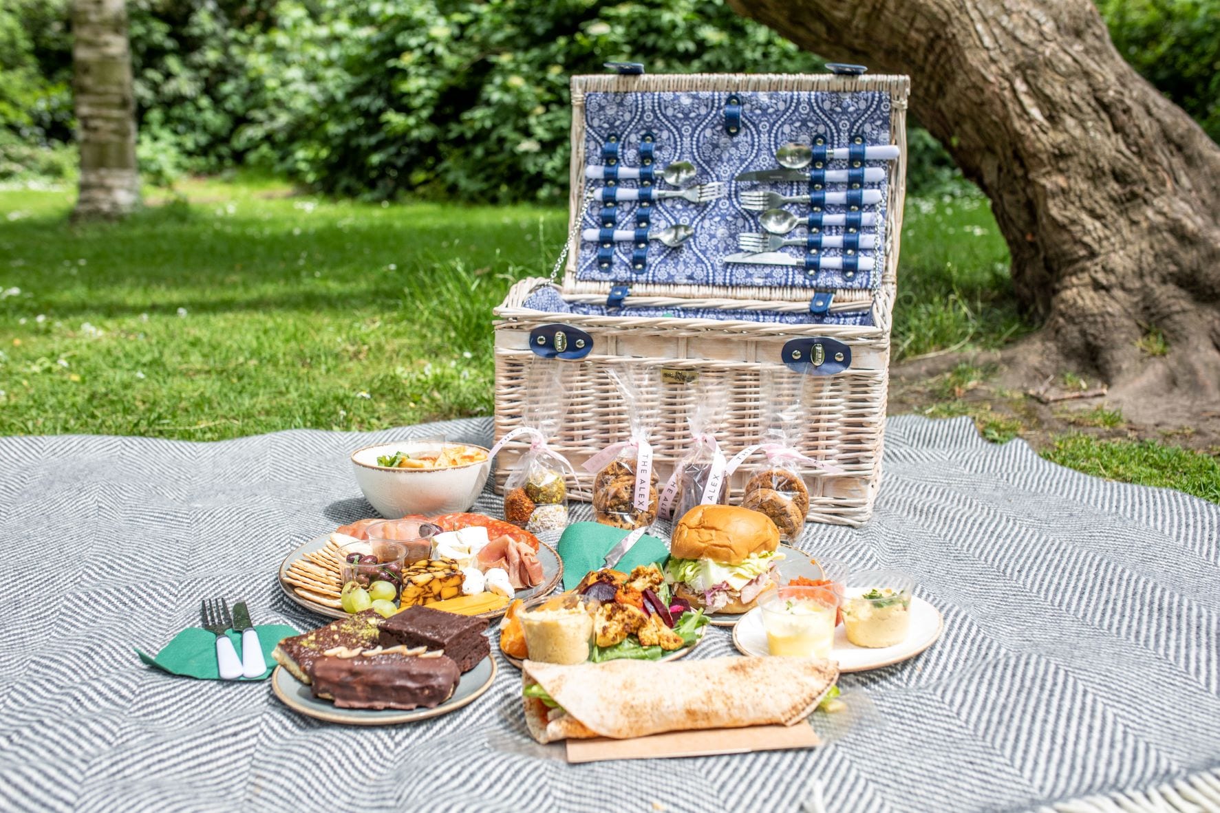 Picnic in Merrion Square