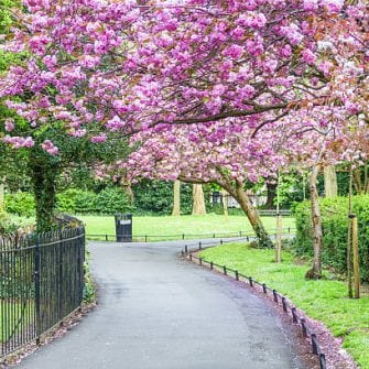 St Stephens Green Park