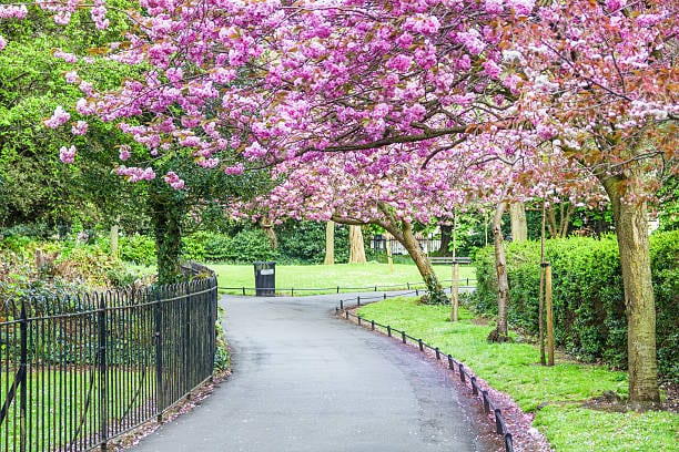 St Stephens Green Park